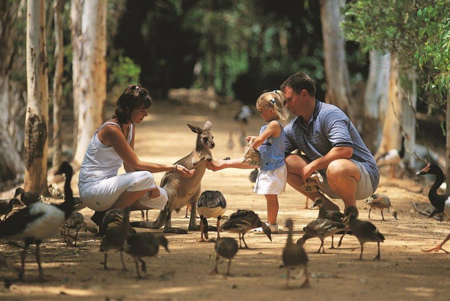 Townsville QLD Maitland Accommodation