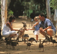 Billabong Sanctuary - Maitland Accommodation
