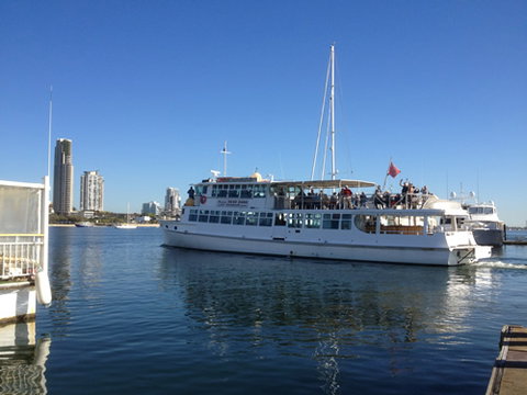 Brisbane Cruises - Maitland Accommodation 1