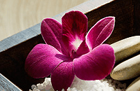 Blush Beauty Saloons - Maitland Accommodation 4