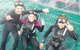 Dolphin Swim Australia - thumb 7