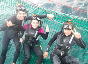 Dolphin Swim Australia - Maitland Accommodation 7