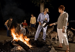 Cairns Night Zoo - Maitland Accommodation