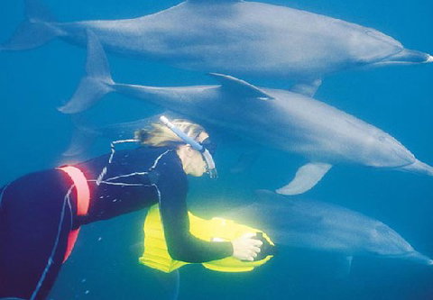 Rockingham Wild Encounters - Maitland Accommodation 1