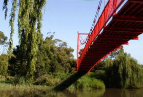 Caribbean Gardens - Maitland Accommodation 4