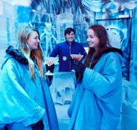 Icebar Melbourne - Maitland Accommodation