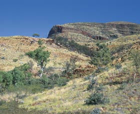 Mount Newman - Maitland Accommodation 0