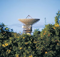 Big Dish - Maitland Accommodation