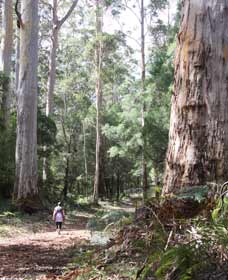  Maitland Accommodation