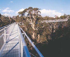  Maitland Accommodation