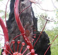 Understory Art In Nature - Maitland Accommodation