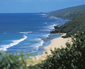 Yallingup Beach - Maitland Accommodation 0