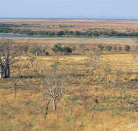 Marglu Billabong - Maitland Accommodation