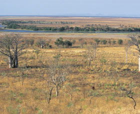 Marglu Billabong - Maitland Accommodation 0