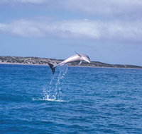 Steep Point - Maitland Accommodation