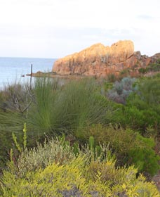 Meelup Trail - Maitland Accommodation 0