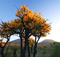 Cape Le Grand National Park - Maitland Accommodation