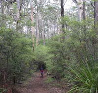 Margaret River Rails Trail - Maitland Accommodation