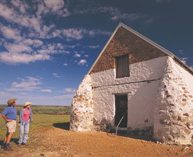  Maitland Accommodation