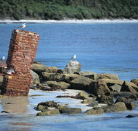 Whalers Beach - Maitland Accommodation