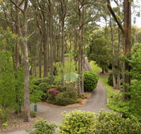Mount Lofty Botanic Garden - Maitland Accommodation