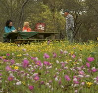 Gwambygine Park - Maitland Accommodation