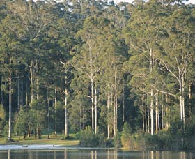 Big Brook Dam - Maitland Accommodation 0