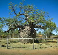 Pigeon Heritage Trail - Maitland Accommodation