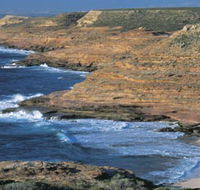 Eagle Gorge - Maitland Accommodation