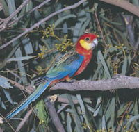 King River - Maitland Accommodation