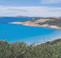 The Great Ocean Drive - Maitland Accommodation