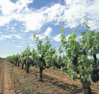 Blackwood Meadery - Maitland Accommodation