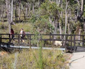 Forest Path, Crooked Brook - Maitland Accommodation 0
