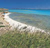 Paradise Beach - Maitland Accommodation