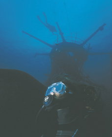 Swan Dive Wreck - Maitland Accommodation 0