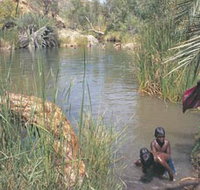 Palm Springs - Maitland Accommodation