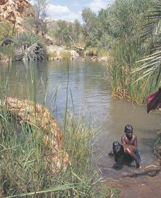 Palm Springs - Maitland Accommodation 0