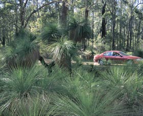 Bridgetown Jarrah Park - Maitland Accommodation 0