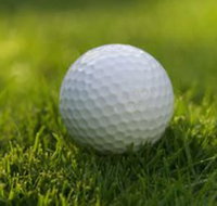 Collier Park Golf Course - Maitland Accommodation