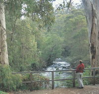Cascades - Maitland Accommodation