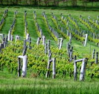 Sienna Estate Winery - Maitland Accommodation