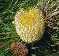 FR Berry Reserve - Maitland Accommodation