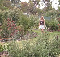 The Mythic Mazes - Maitland Accommodation