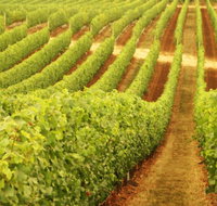 Xanadu Wines - Maitland Accommodation