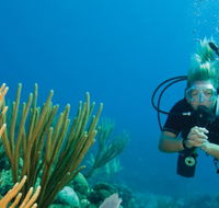 Coastal Water Dive - Maitland Accommodation