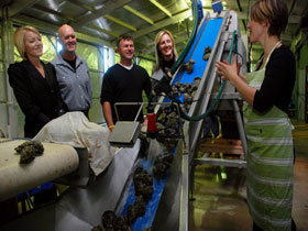 Eyre Peninsula's Seafood Trail - Maitland Accommodation 0