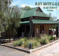 Rain Moth Gallery - Maitland Accommodation