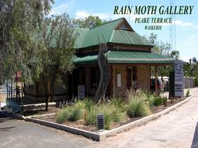 Rain Moth Gallery - Maitland Accommodation 0