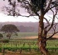 Yangarra Estate Vineyard - Maitland Accommodation
