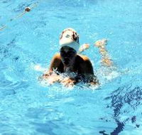 Mount Gambier Aquatic Centre - Maitland Accommodation
